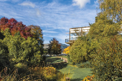 A view of Highfield campus showing trees and steam in the foreground and several buildings in the background